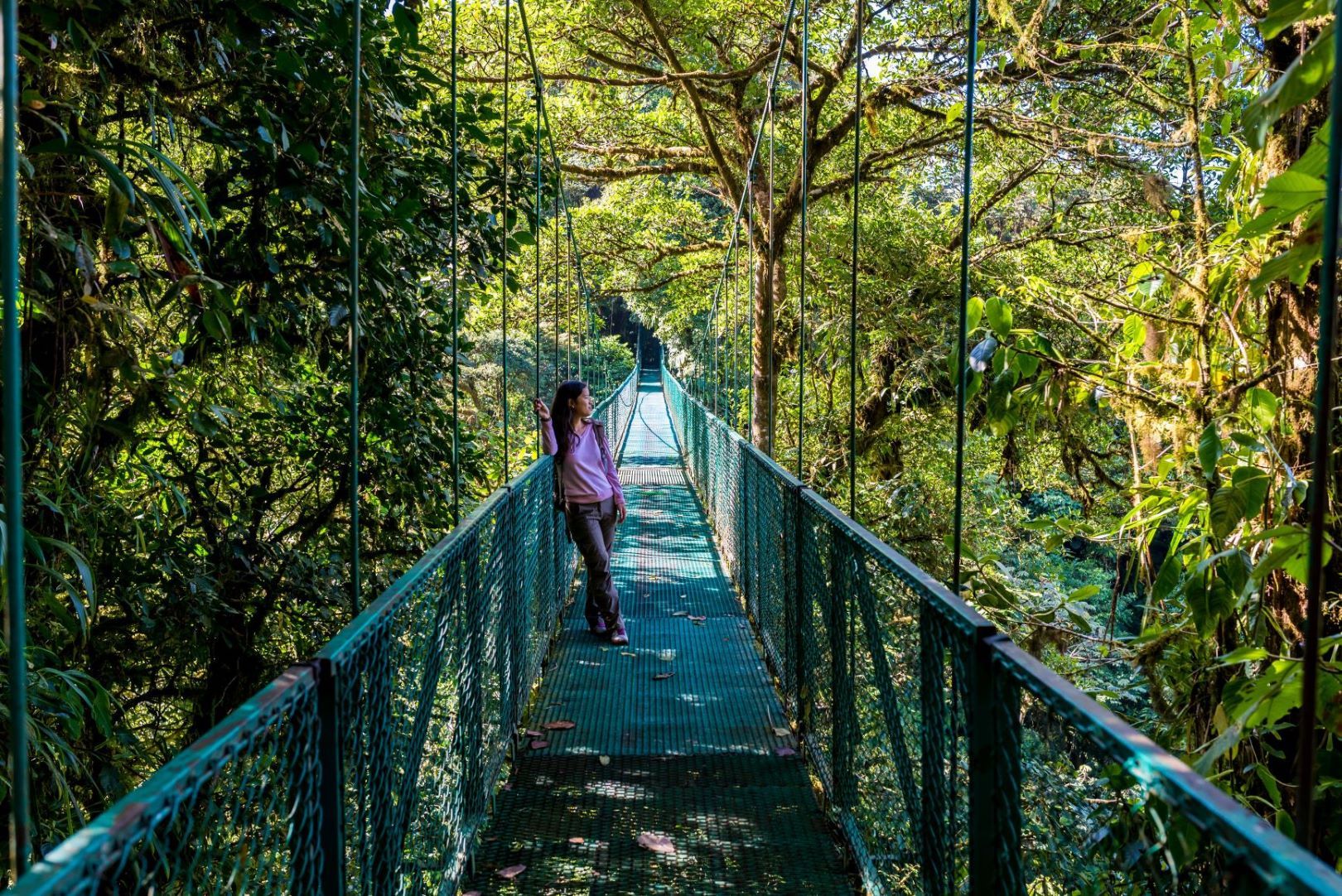 Costa_Rica_Monteverde_Skywalk