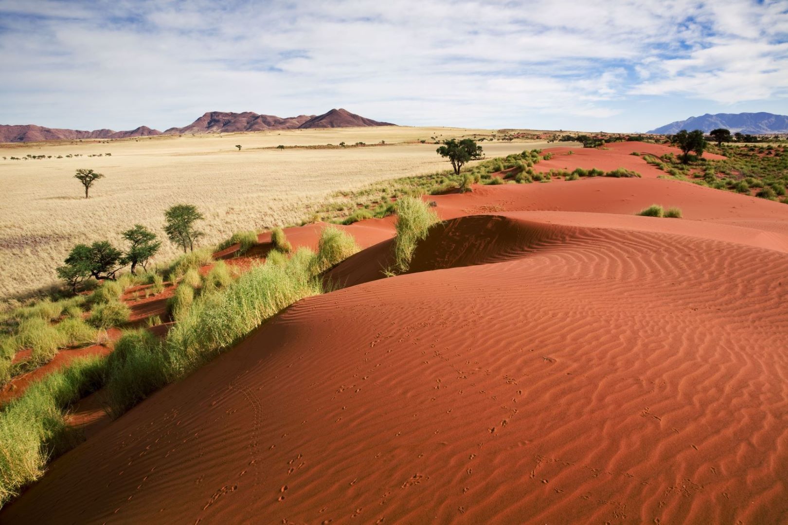 Namibia_Namib_Wüste