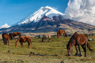 Ecuador_Cotopaxi_Nationalpark