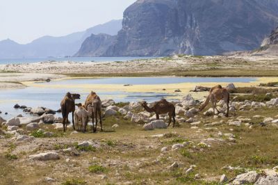 Reisebild-3