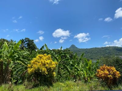 Mayotte