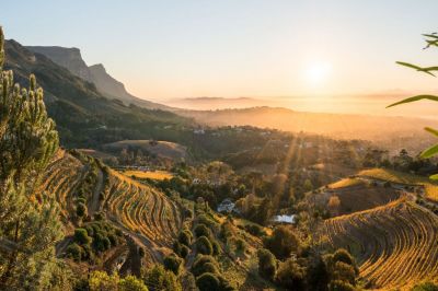 Südafrika_Stellenbosch