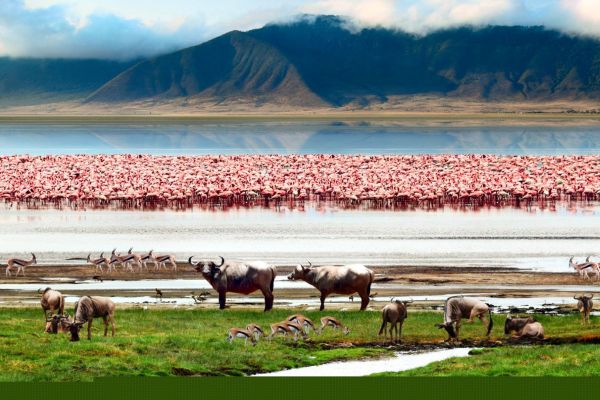 Tansania_Ngorongoro_Krater