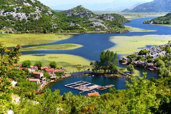 Montenegro_Skutarisee
