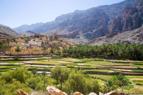 Oman_Oase