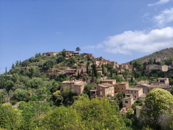 Mallorca - Urlaub bei Profis