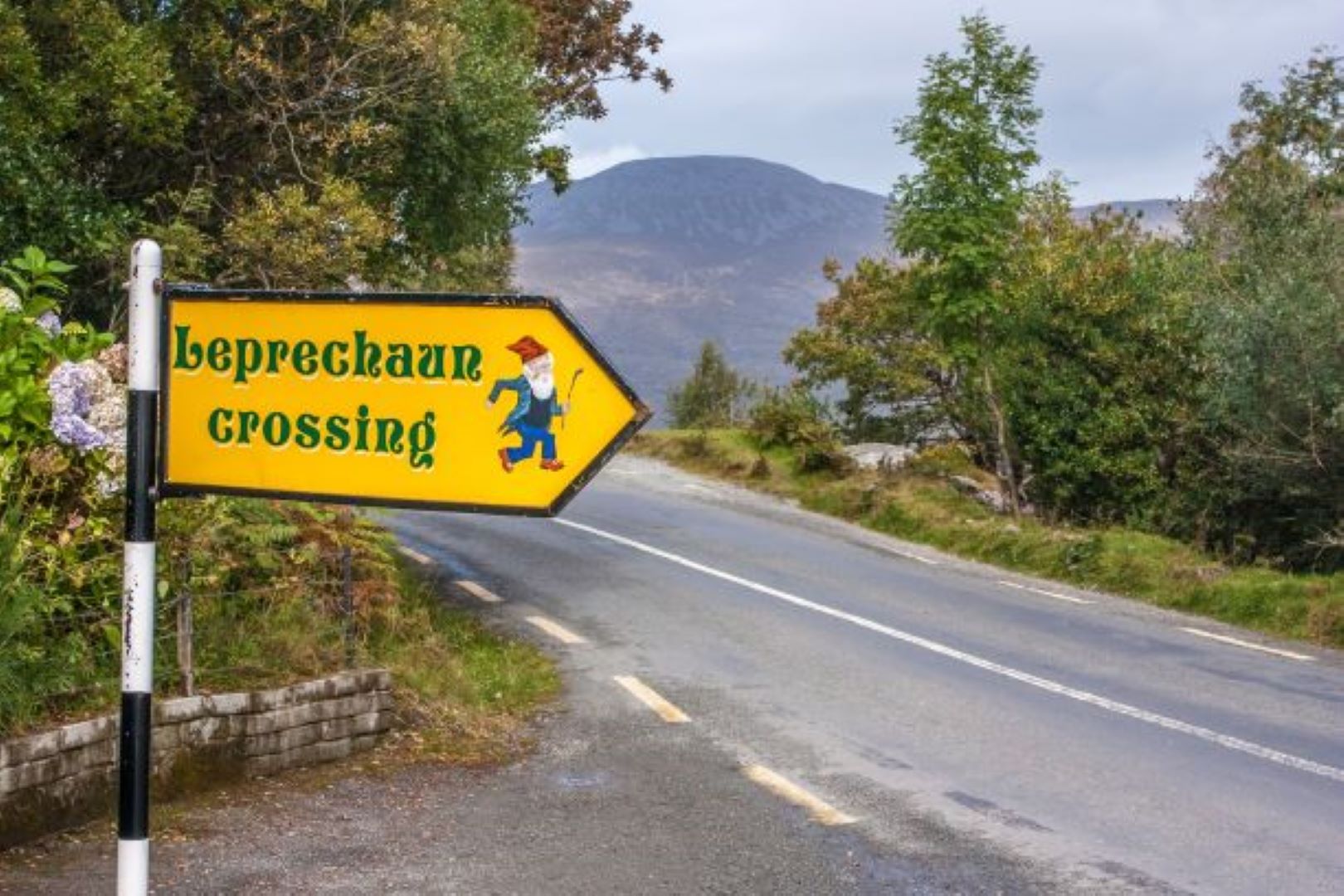 Leprechaun Crossing