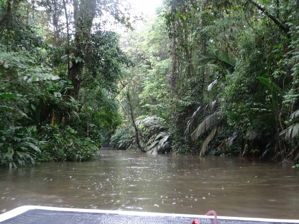 Tortuguero