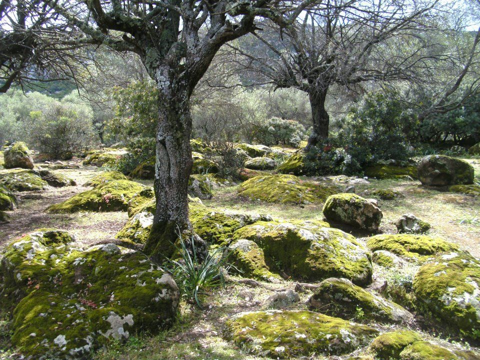 Wanderung zur Cala Goloritze