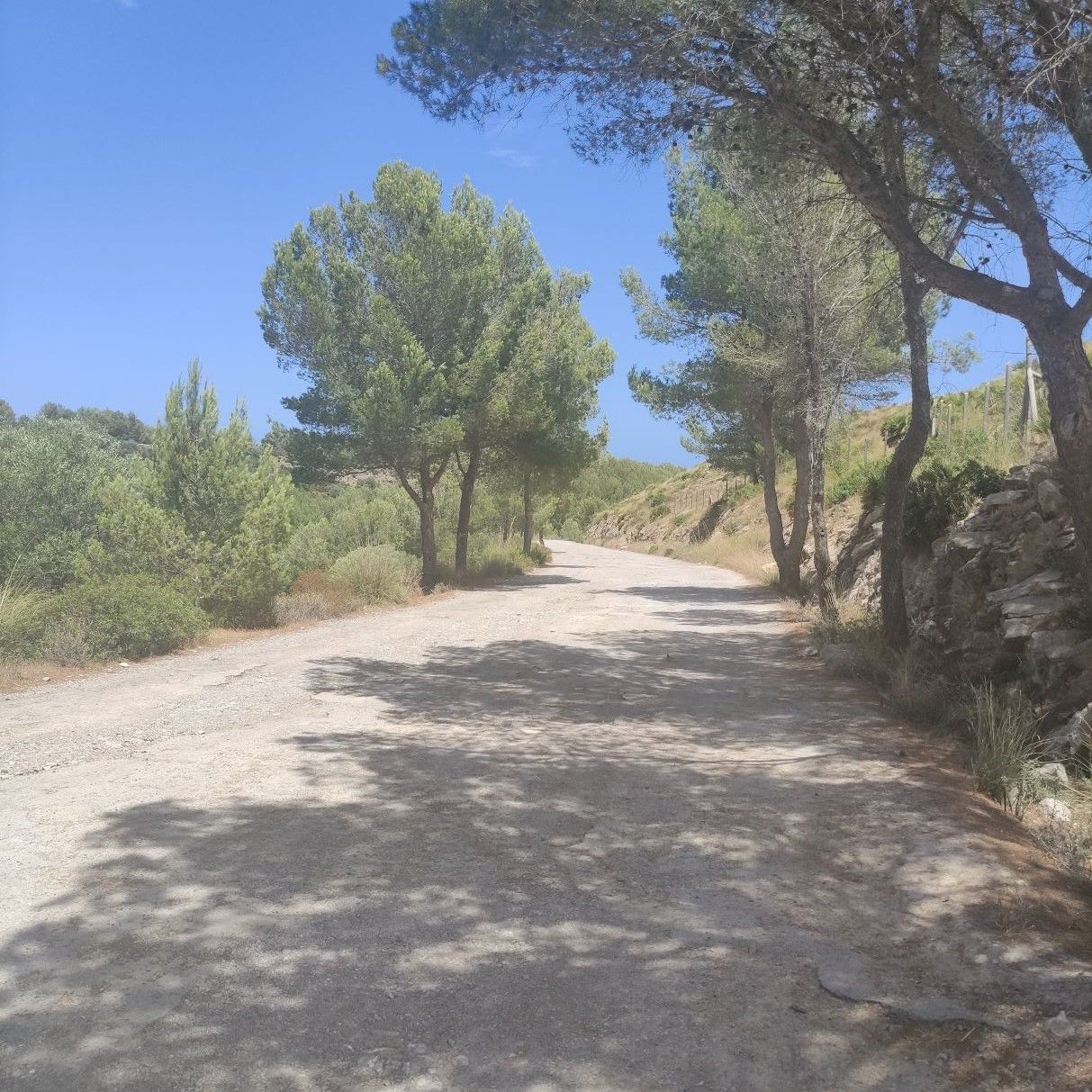 Weg zur Cala Torta