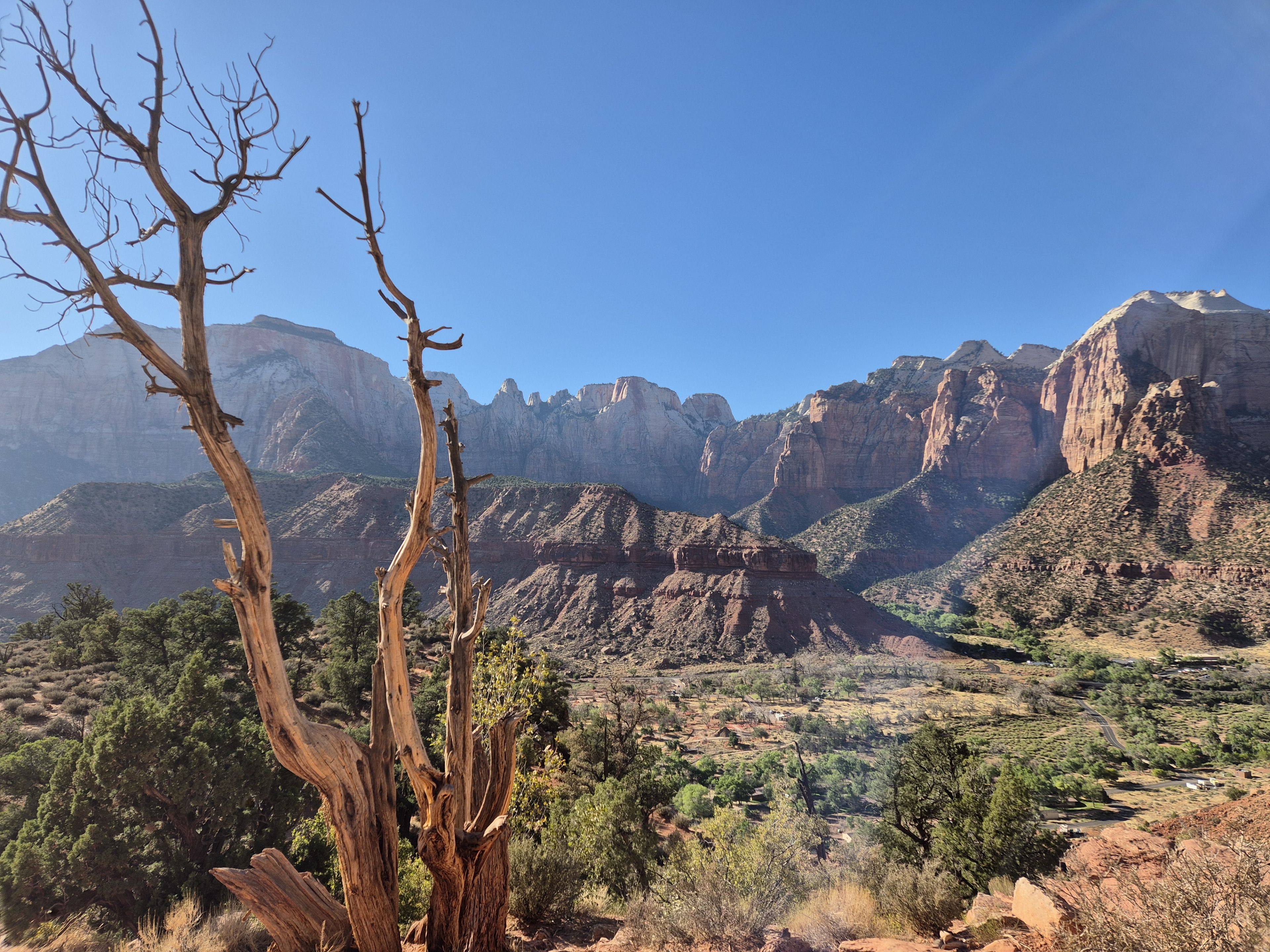 Watchman Trail