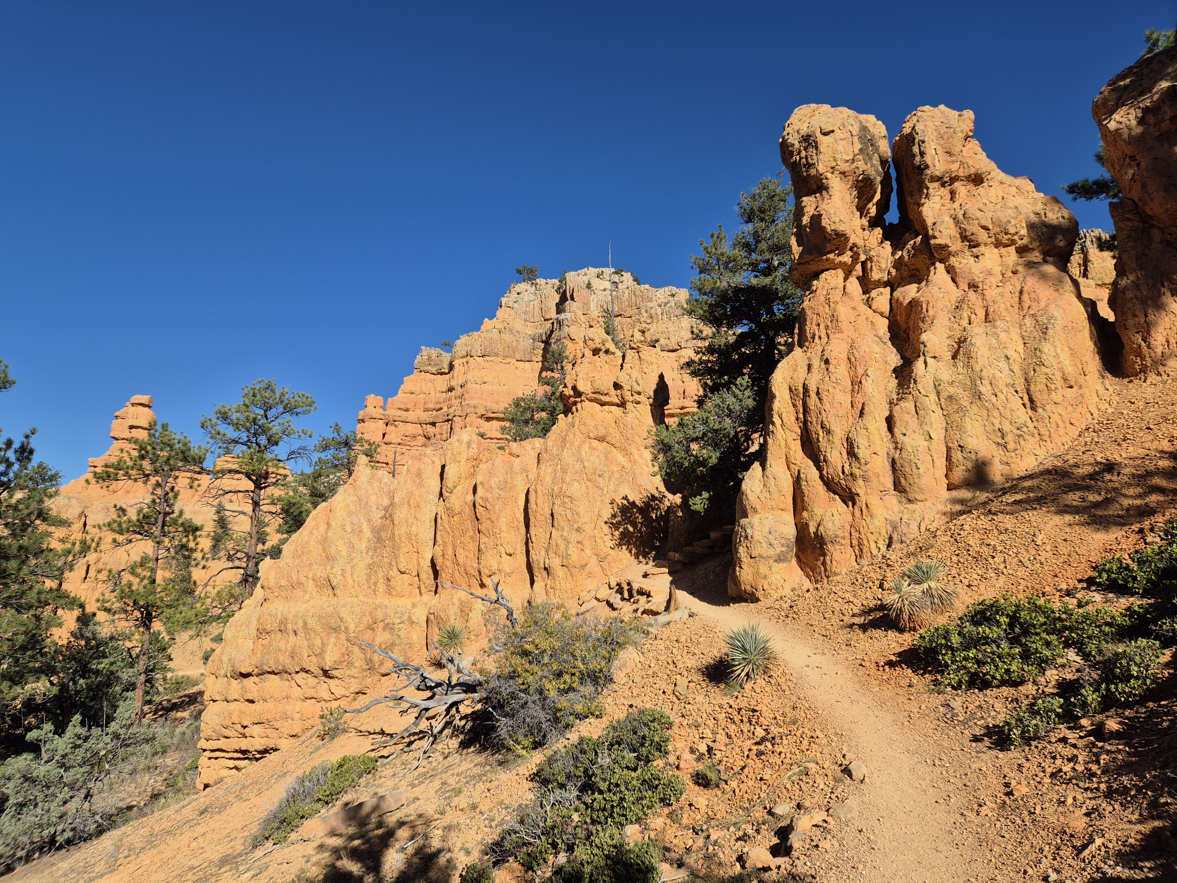 Red Canyon