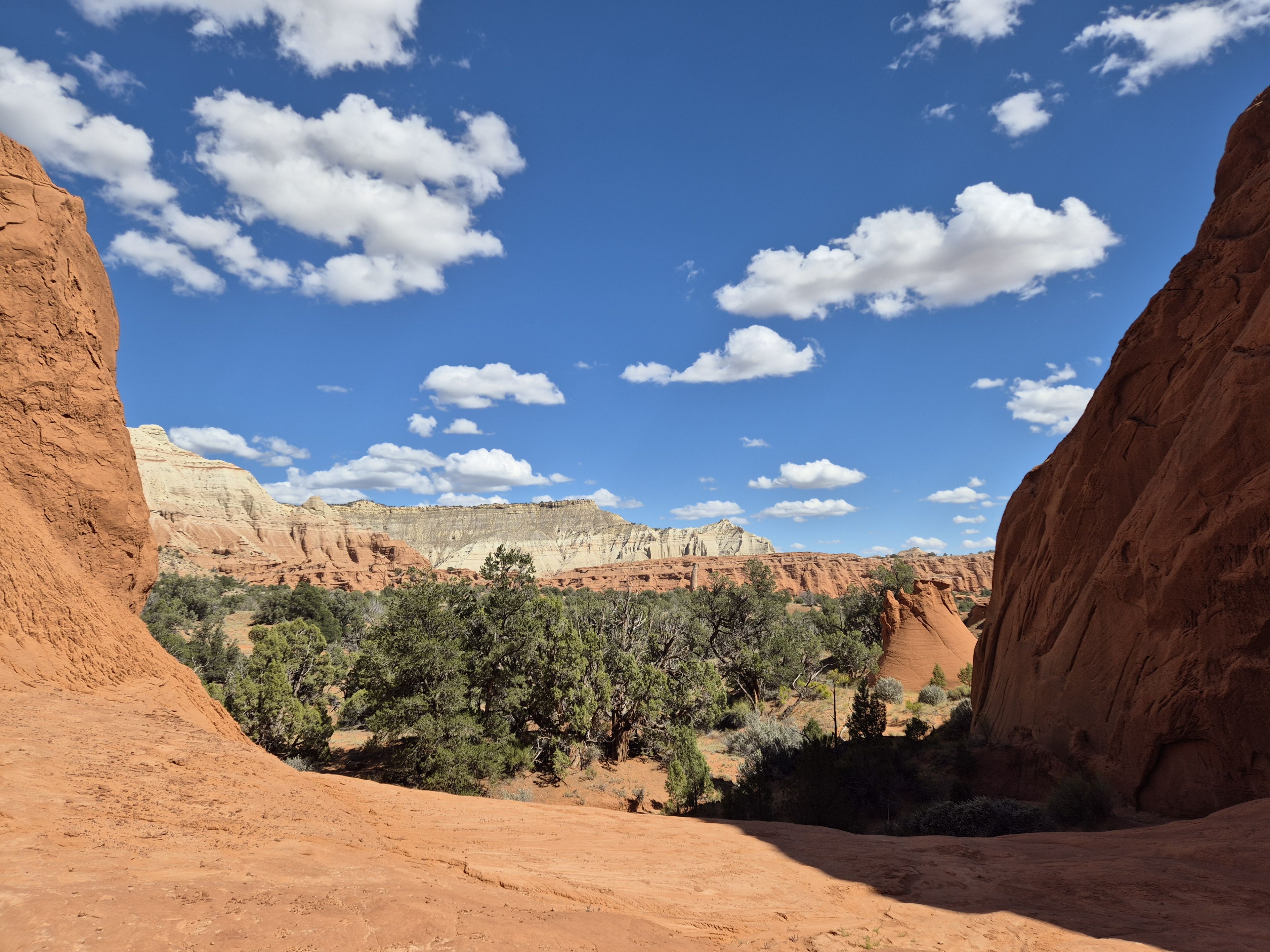 Panorama Trail