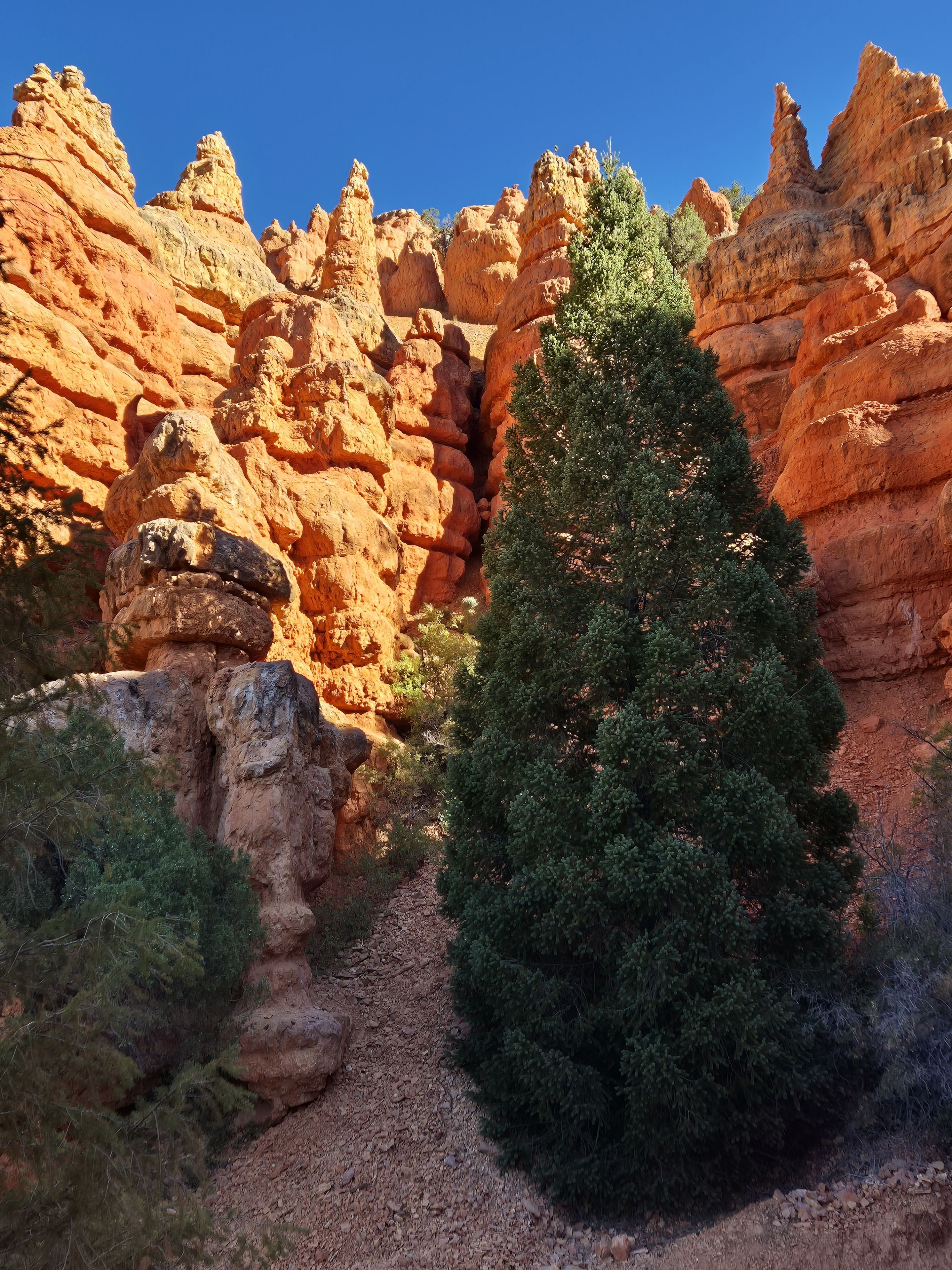Red Canyon 2