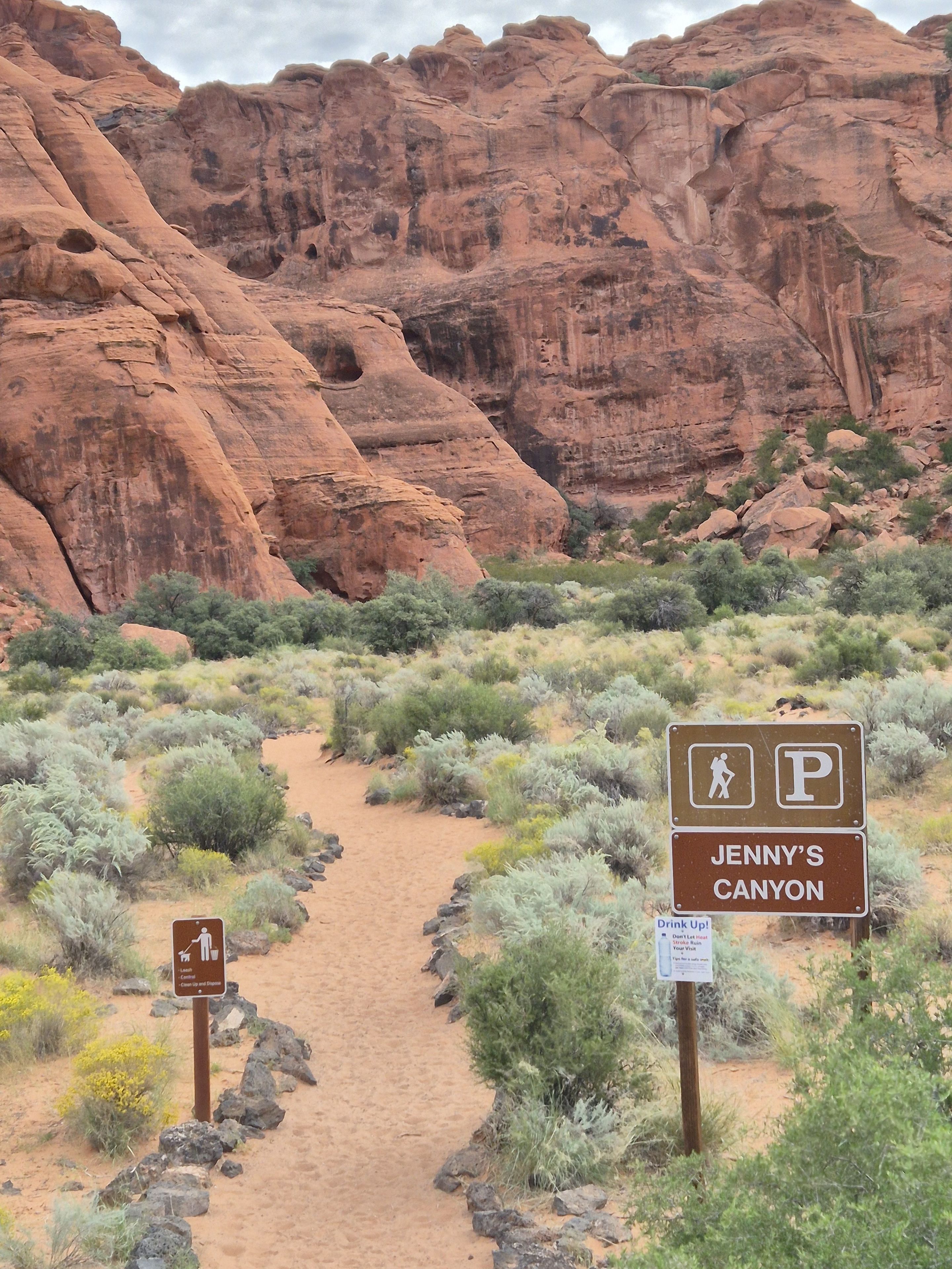 Canyon 1