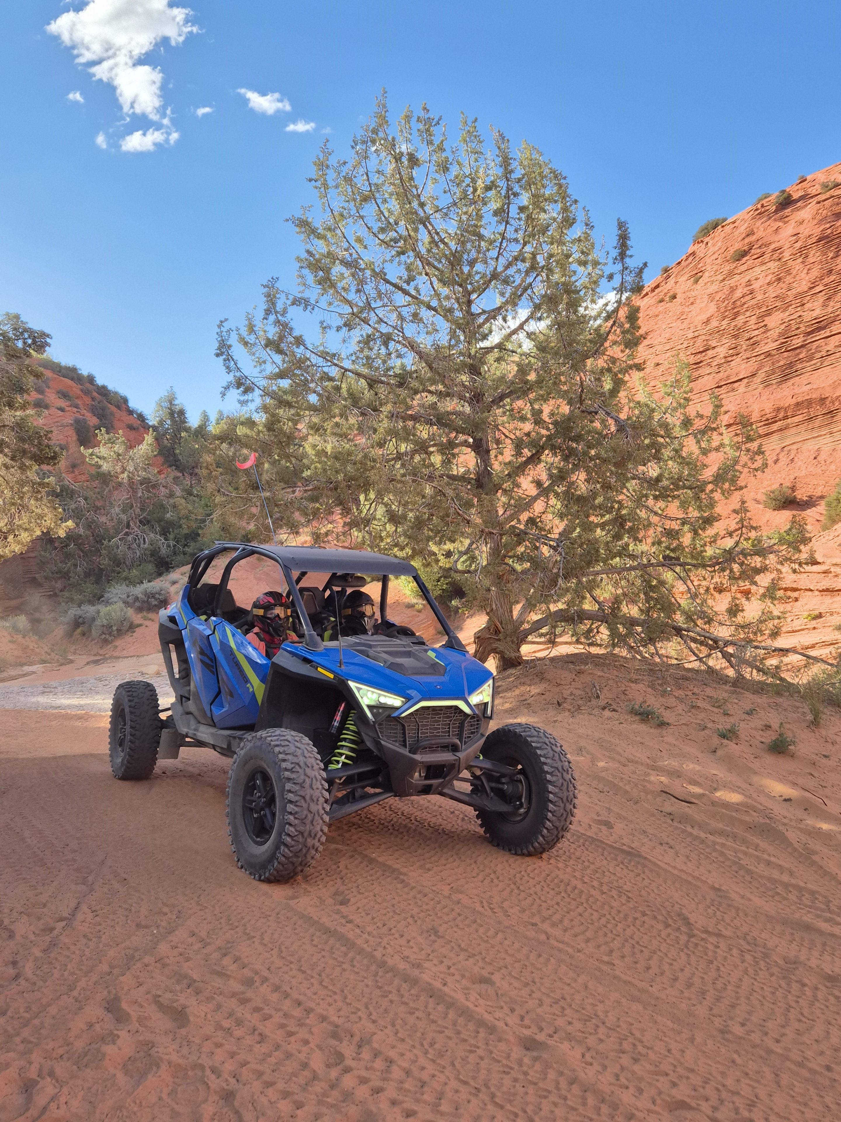 Quad